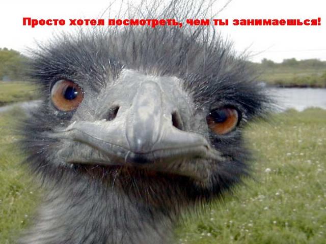 10    (10 ) "  -   ,  , , , , , 