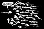 карикатура сперматозоиды