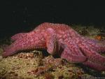 WaterWorld_09.jpg