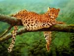 Leopard is resting on a tree