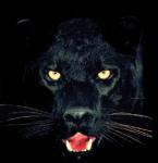 Bestial face