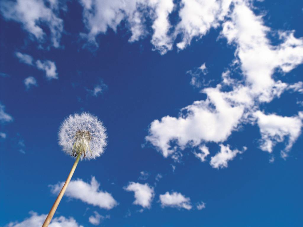 nature244.jpg