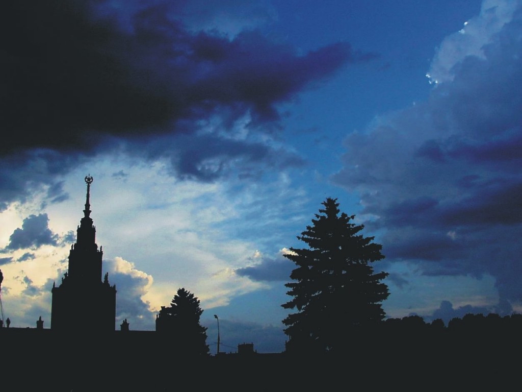 Медведь и лис над вечерней Москвой