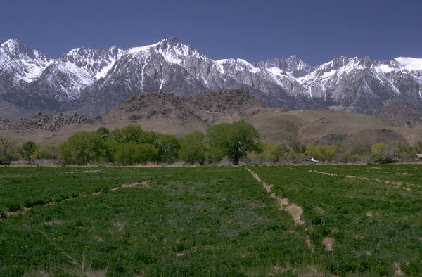 J0144383.JPG