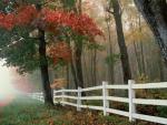 nature108.jpg