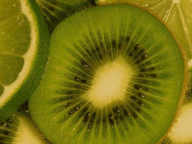 kiwi.jpg