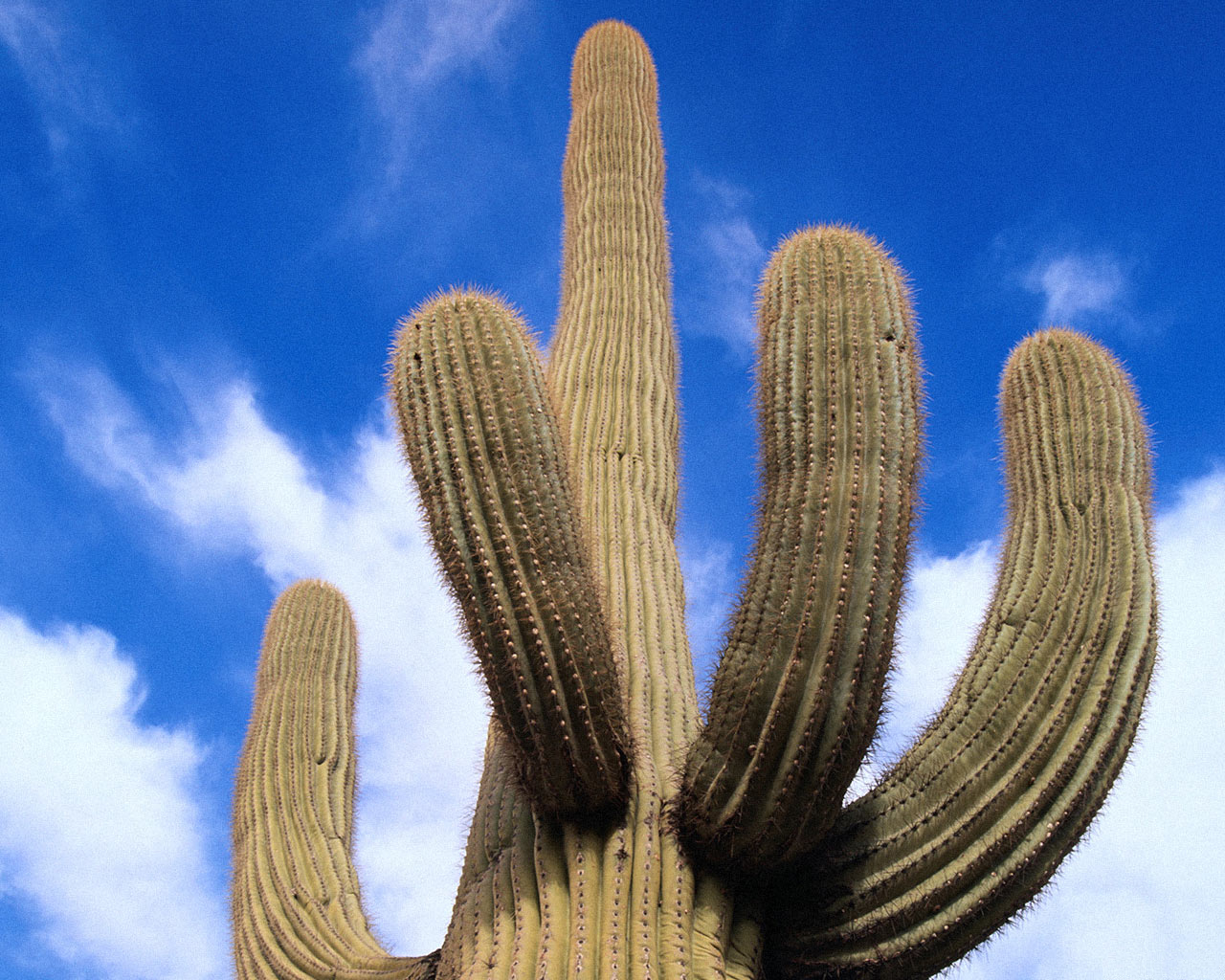 nature0.jpg