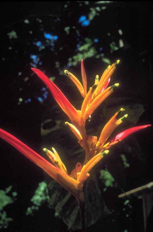 093034B.JPG