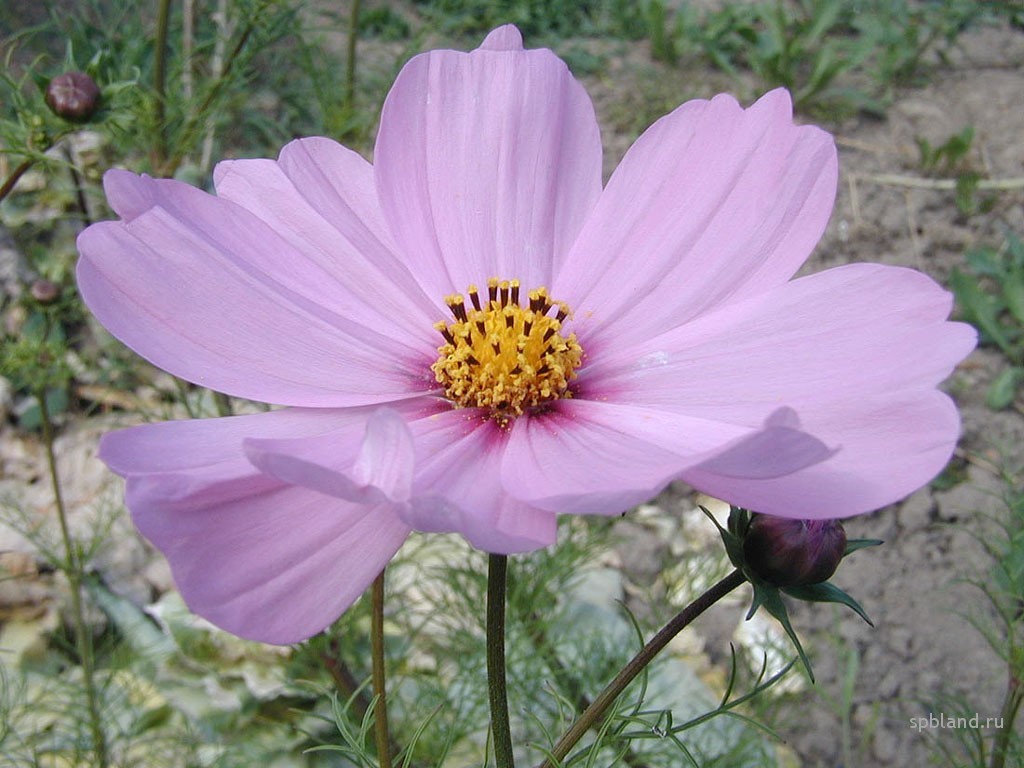 1024-7535.jpg