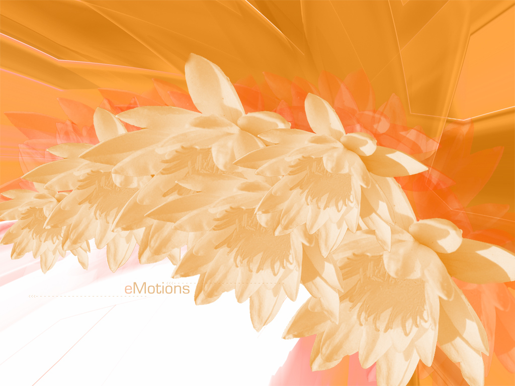 eMotions_20_orange_20ver__.jpg