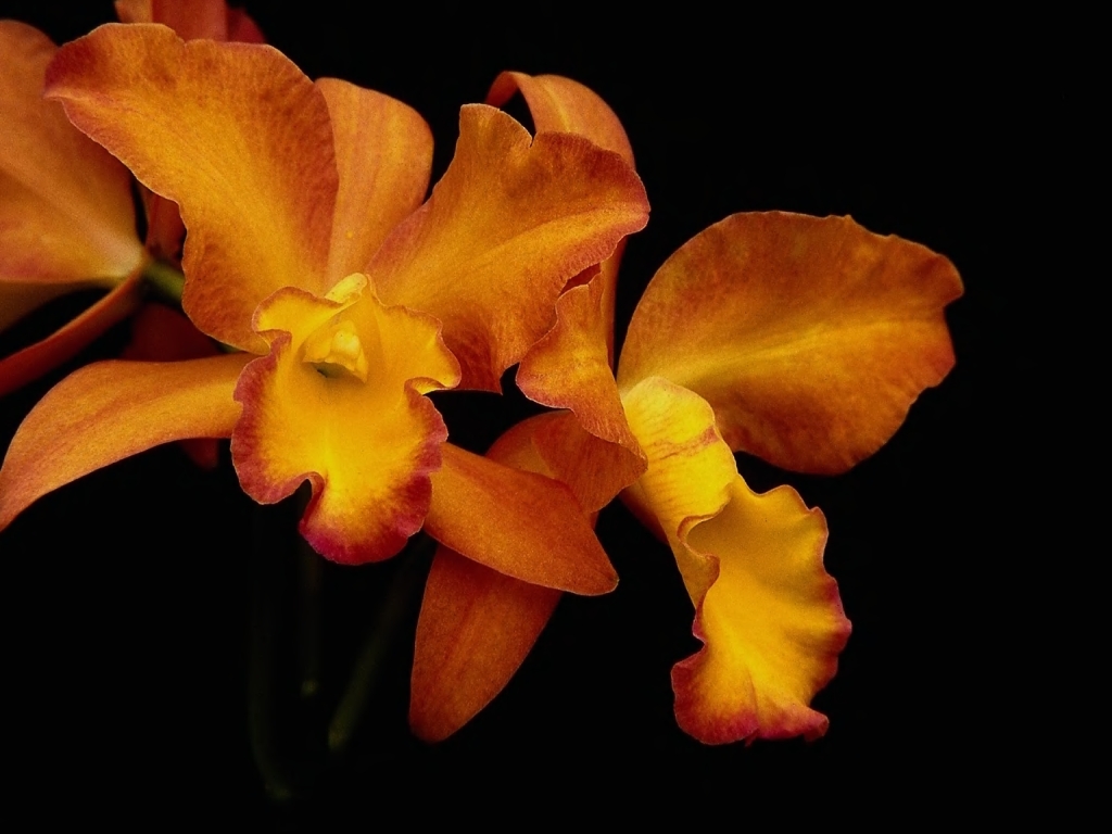 F514097.JPG