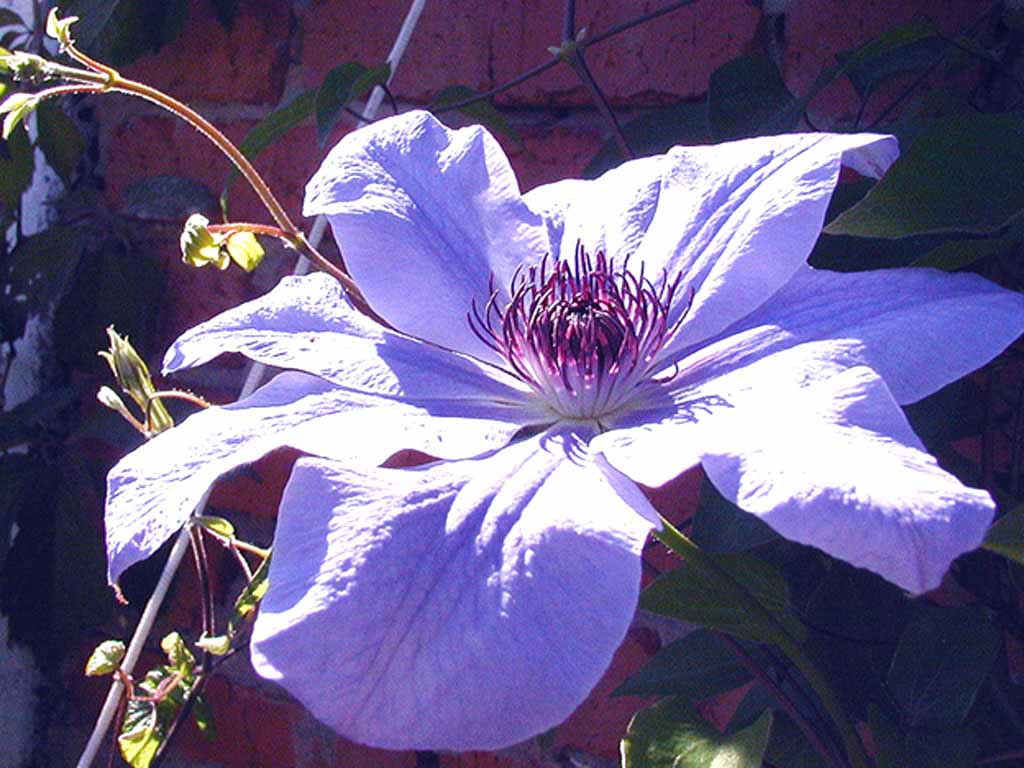fl0030.jpg