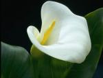 20070905_004.jpg