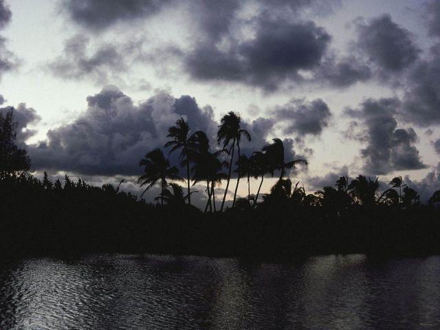 51-10241.jpg