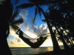 HAMMOCK.jpg