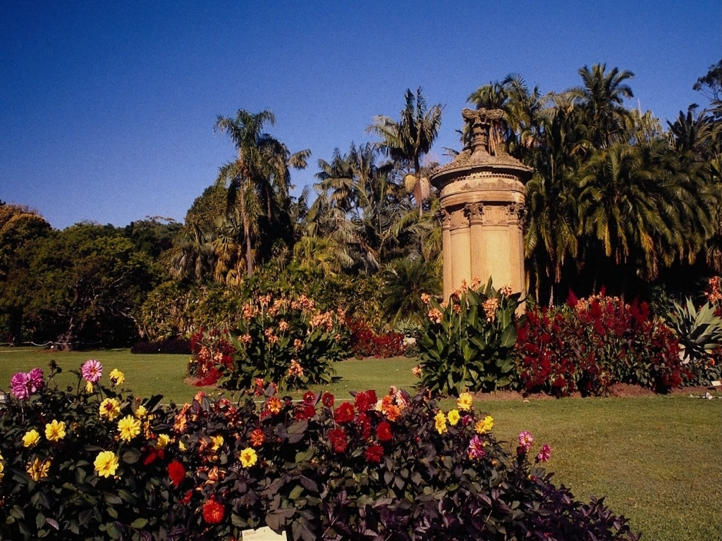 N567090.JPG