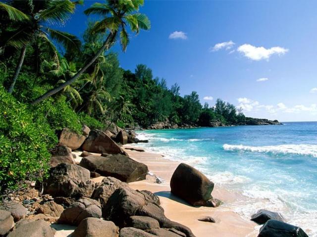 nature126.jpg