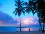St_ Anne Beach_ Guadeloupe_ Caribbean Islands.JPG