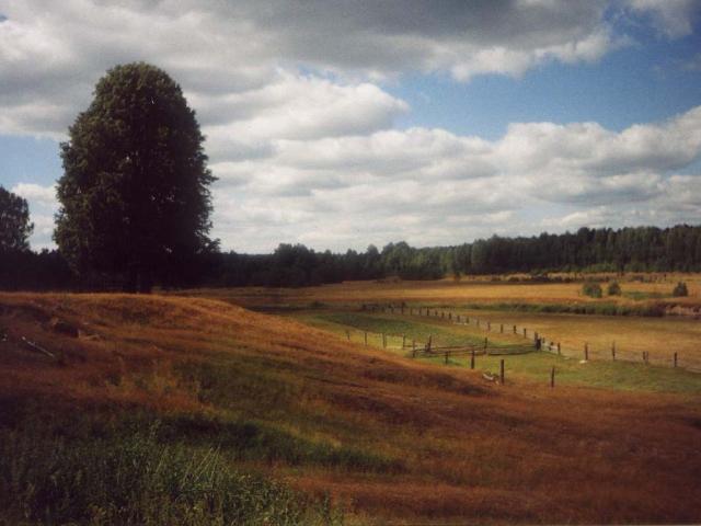03.jpg