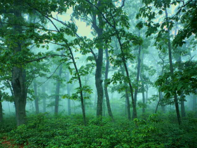 03SC008.JPG
