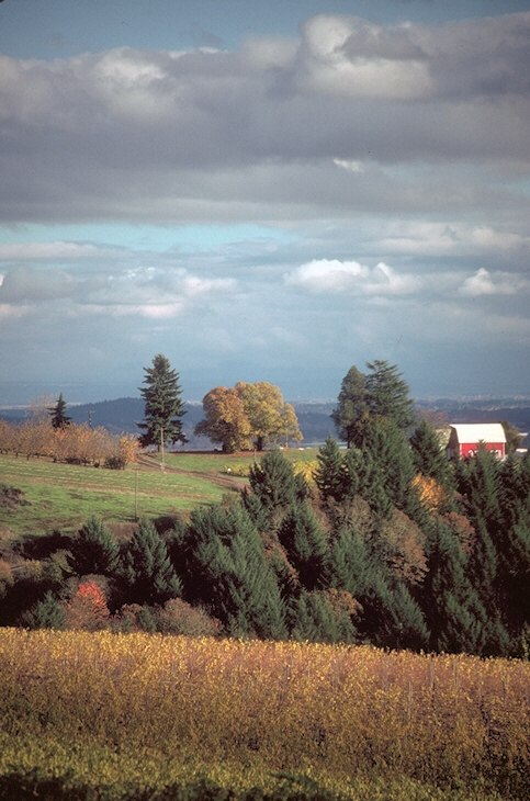 086025B.JPG