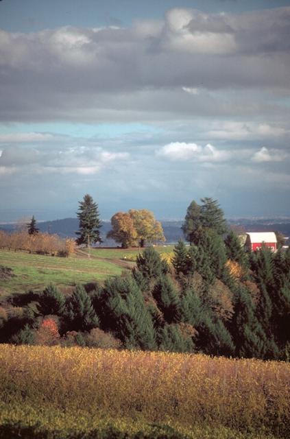 086025B.JPG