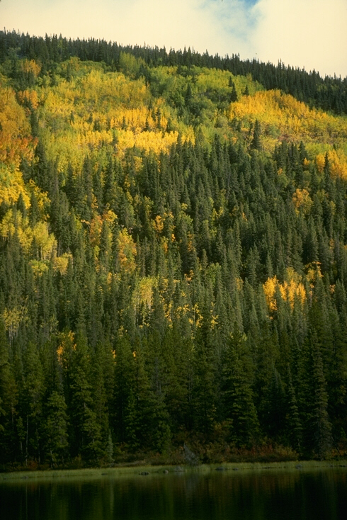114077B.JPG