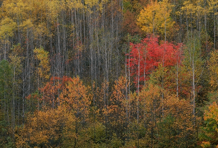 150037B.JPG