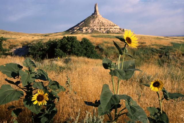 45476_poster2000.jpg
