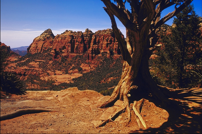 739015.JPG