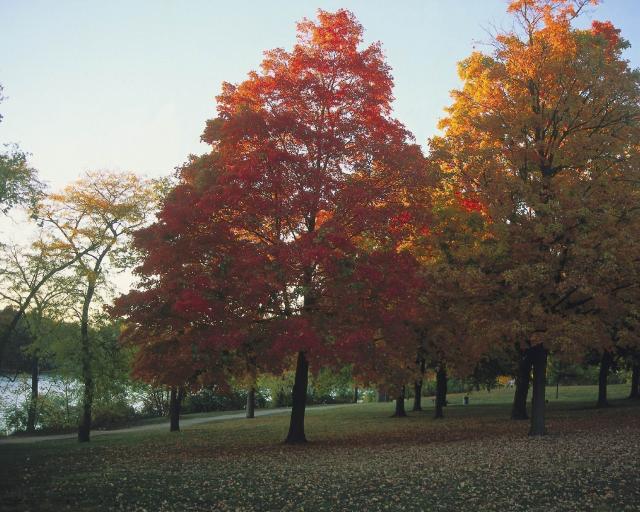 BK0584.jpg