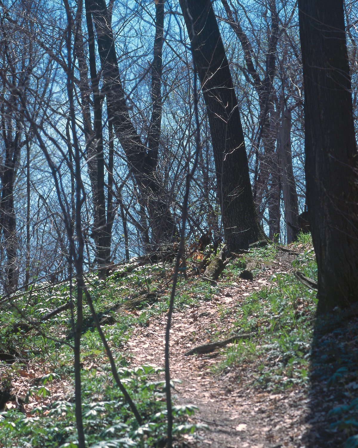 BK0596.jpg