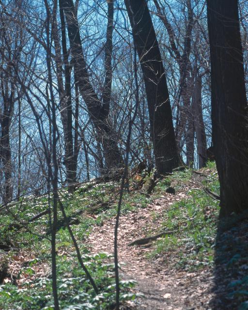 BK0596.jpg
