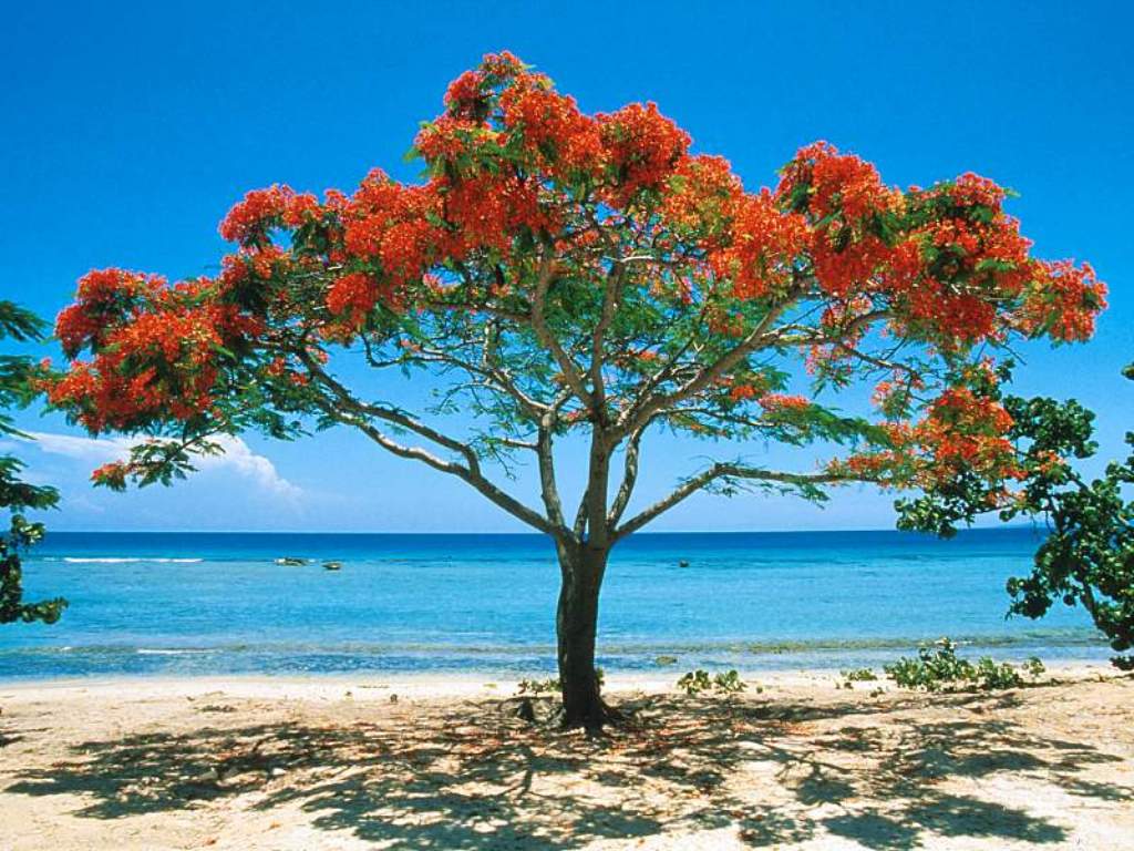 La Boca Beach_ Trinidad_ Cuba.JPG