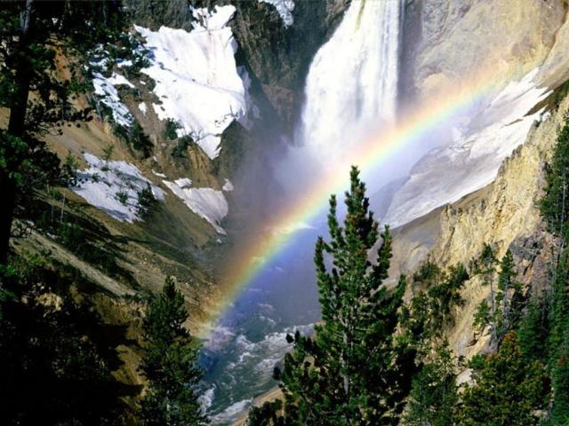 nature113.jpg