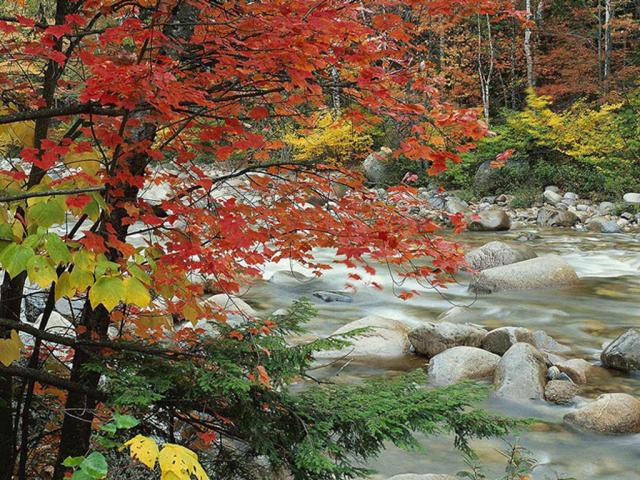 nature17.JPG