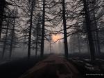 nature26.jpg