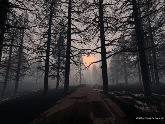 nature26.jpg