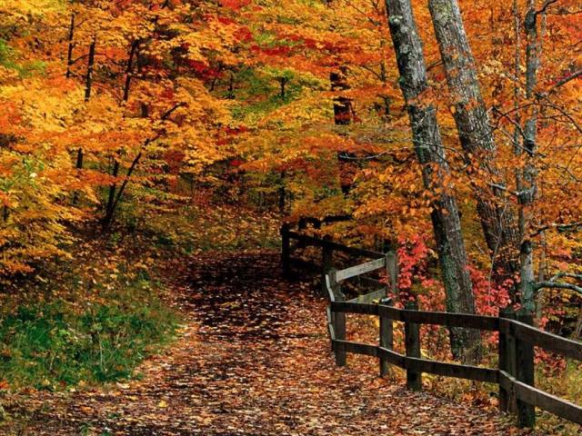nature46.jpg