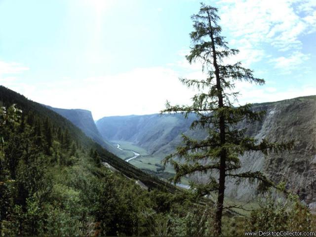 Nature_24.jpg