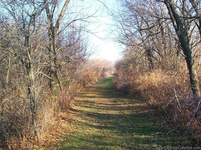Nature_26.jpg