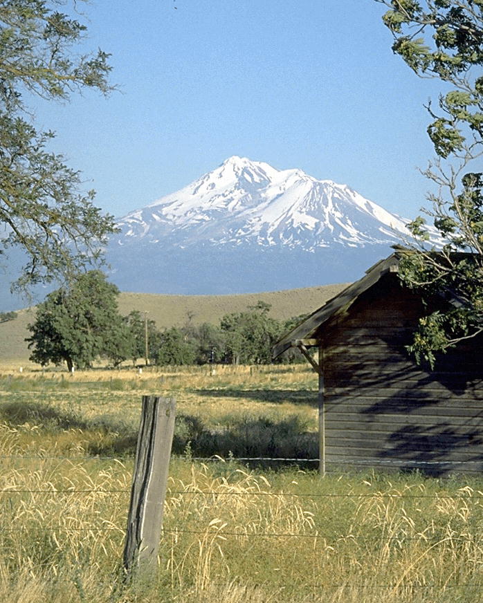 PPIC0611.JPG