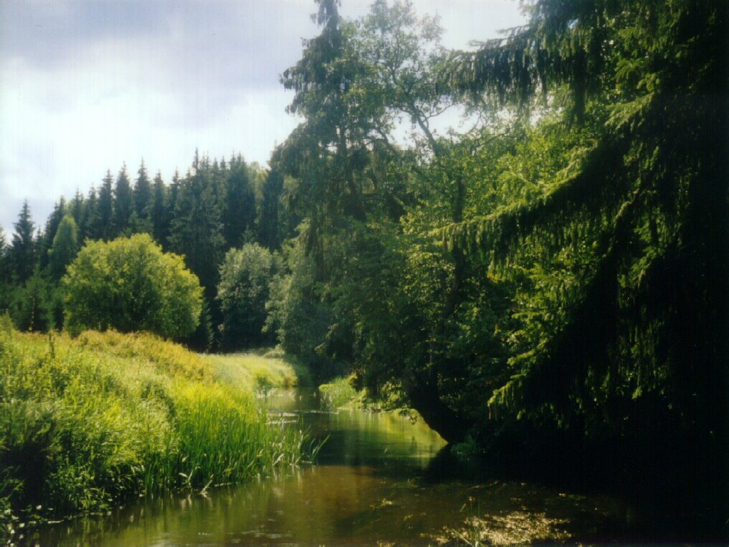 River2000.jpg