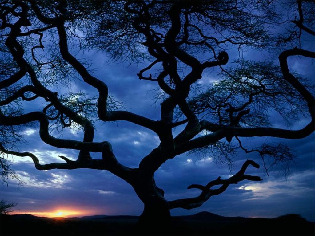 Serengeti National Park_ Tanzania.JPG