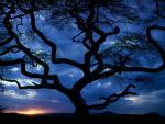 Serengeti National Park_ Tanzania.JPG