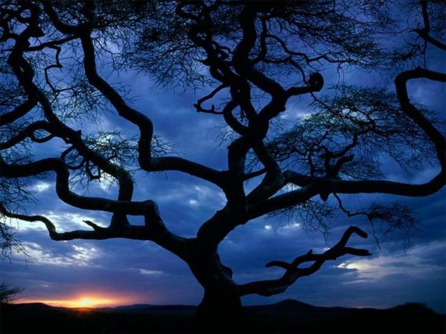 Serengeti National Park_ Tanzania.JPG