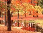 Wescott Beach State Park_ New York.JPG