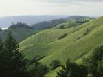 20070905_001.jpg