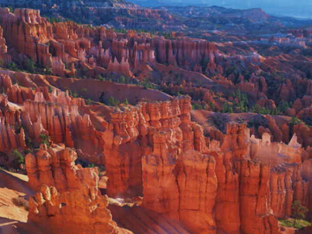 07SC011.JPG