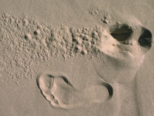 sandprints.jpg